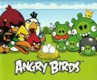 Птицы, яиц и зеленых свиней в Angry Birds